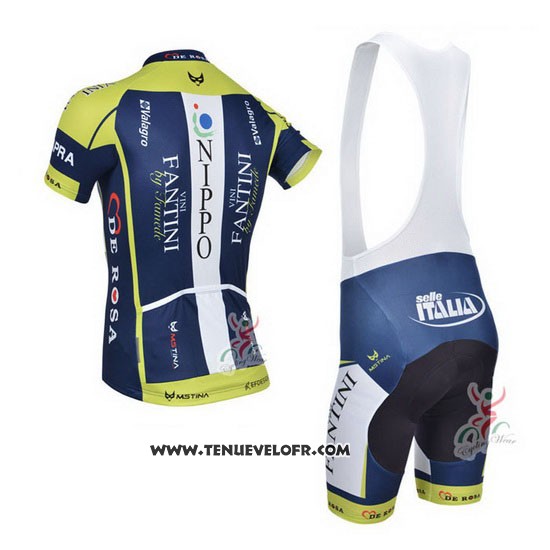 2013 Maillot Ciclismo Vini Fantini Vert et Bleu Manches Courtes et Cuissard